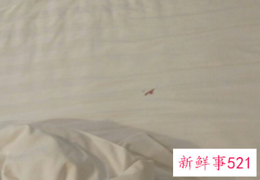 怎么清洗被子上的血迹