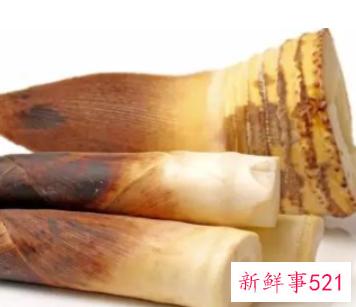 春笋怎么吃比较好