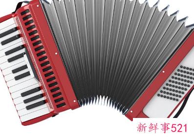 成人学手风琴用多大的合适