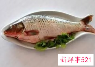 梦见把小鱼弄死了