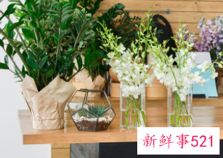 一进门客厅摆什么东西好