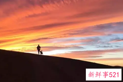 简历中应该注意的致命缺点