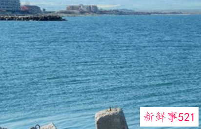 孕妇梦见大海什么意思