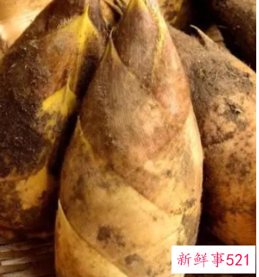 春笋怎么吃比较好