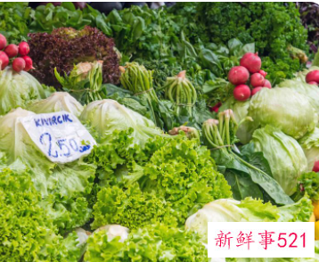 新手怎么去市场卖菜