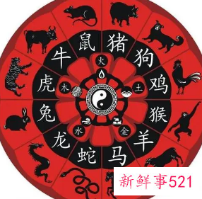 十二生肖相生相克五行