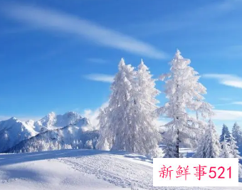 写出与冬天有关的事物