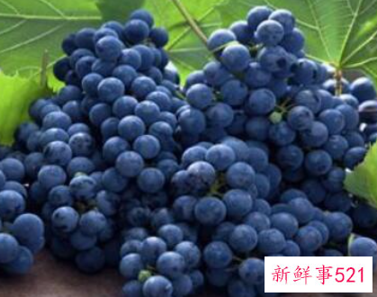 保存葡萄的最好方式