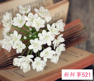 巨蟹座未来三年的学业运势