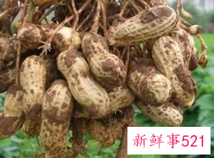 梦见拔花生有什么意思