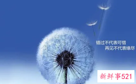 简历中应该注意的致命缺点