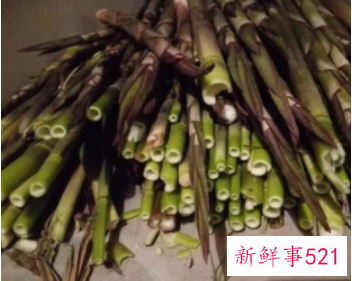 春笋怎么吃比较好