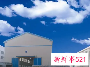 好听的公司名称大全简单大气带峰