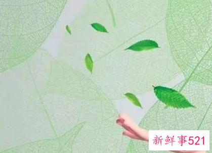 什么样的女人最吸引男人的