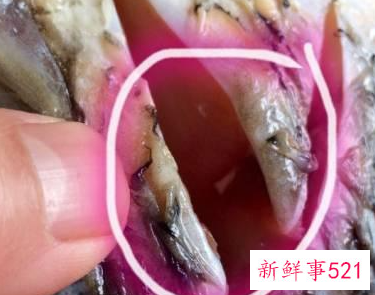 红烧鱼的家常配料