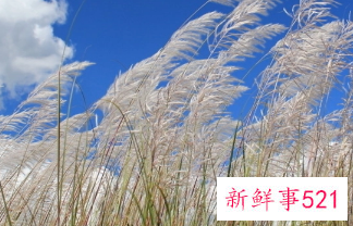 万能自我批评检讨书