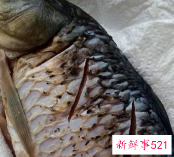 红烧鱼的家常配料