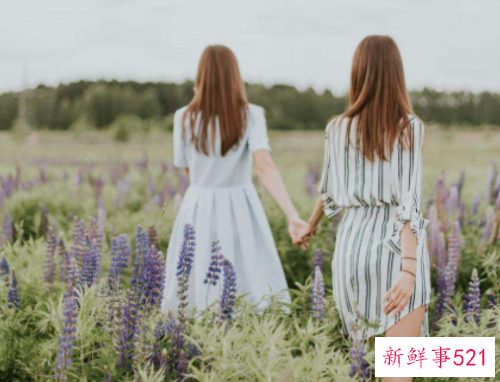 梦见姐姐是什么意思?