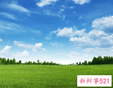 一叫就占便宜的网名