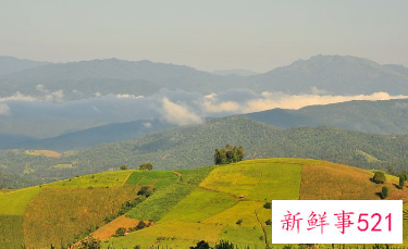 春天的寓意和象征的作文