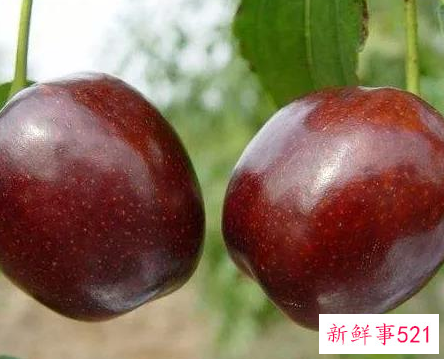 一日一水果排毒不用药