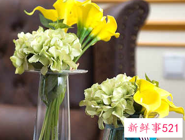 一进门看见假花好不好