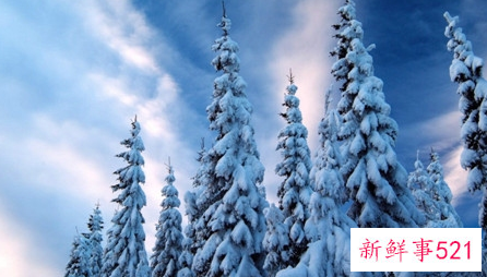 雪对人们有什么好处