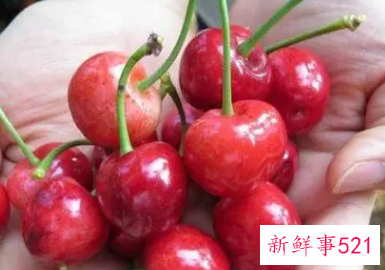 宝宝吃车厘子的功效与作用