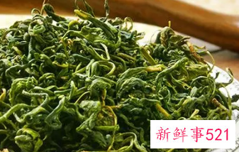 枸杞芽茶是枸杞叶吗