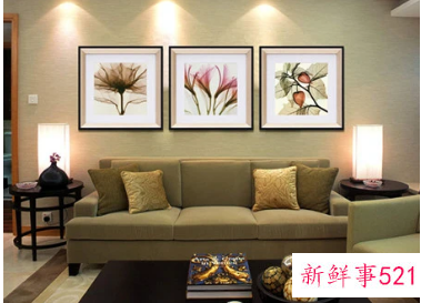 梅花画适合挂在家里客厅吗