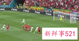 葡萄牙3-0匈牙利,C罗双响独享欧洲杯射手王