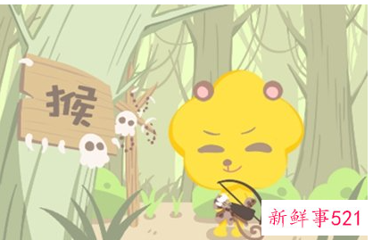 1980年2022年属猴的运势详解