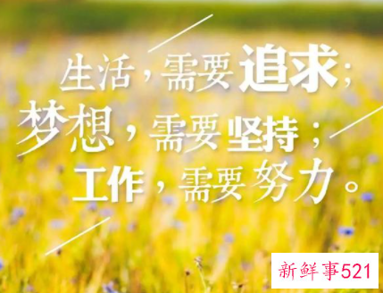 正能量投资句子