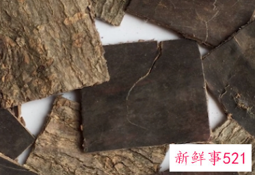 杜仲与木与作用与功效