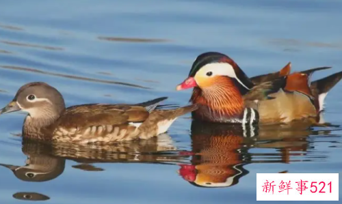 感情不和风水来调理