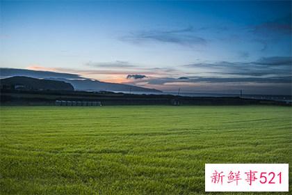 百日坟什么时间上坟