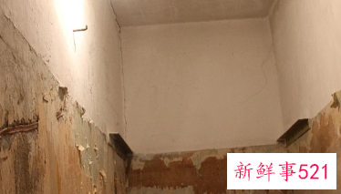 室内潮湿发霉怎么办