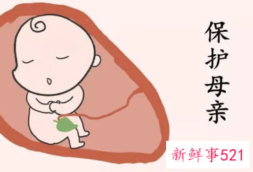 胎儿心脏几个月发育好