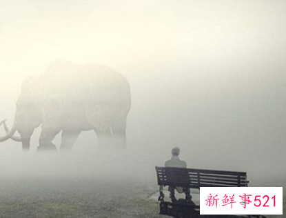 梦见梦中梦什么意思