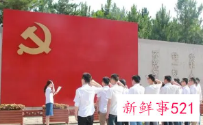 入党志愿抄袭网上的后果