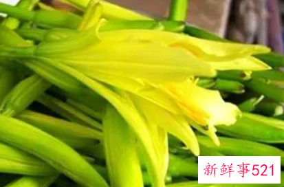 黄花菜有什么特殊功效