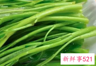 空心菜的营养价值表