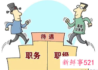 政府单位有几种编制