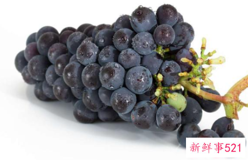 吃什么防止掉头发