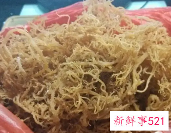 吃鹿角菜的好处