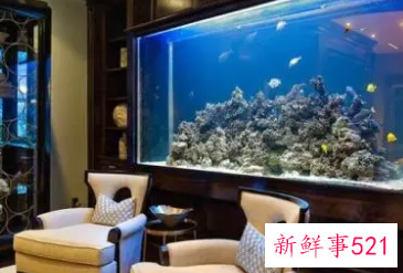 金鱼缸摆放在家里什么位置好