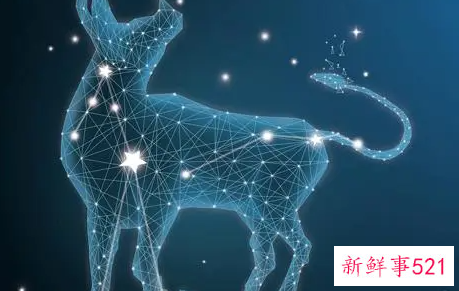 哪些星座男最有好老公的潜质