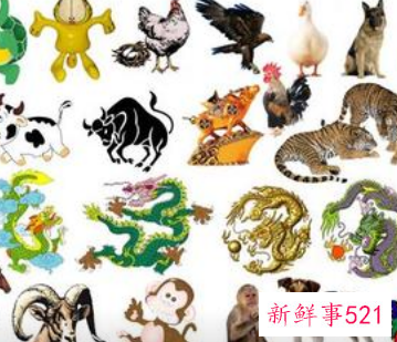 讲诚信的动物十二生肖