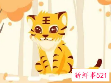 11月份虎宝宝名字