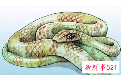 怀孕梦见蛇变成龙飞天是什么意思